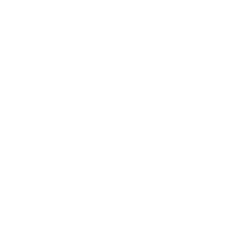 Icone Instagram